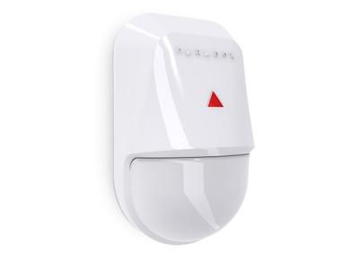 Detector NV5 Paradox