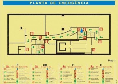Planta de emergência